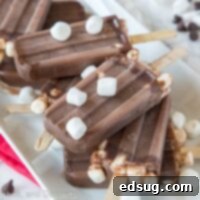 Rich and creamy Frozen Hot Chocolate Popsicles, a perfect summer dessert with marshmallows.