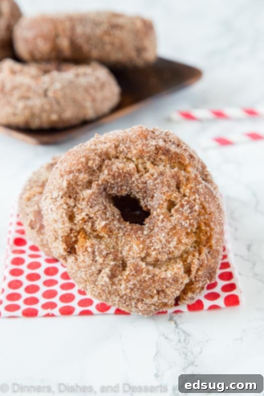 A plate full of golden brown apple cider donuts dusted with cinnamon sugar, ready to eat.