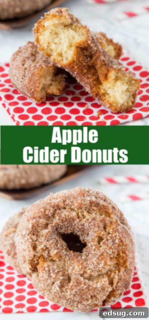 Close-up of several homemade apple cider donuts coated in cinnamon sugar, showcasing their delicious texture.