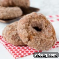 Apple Cider Donuts - fall is for apples, apple cider, and donuts!  These Apple Cider donuts are just like the ones at the orchard. Full of apple flavor and dusted with cinnamon and sugar. 