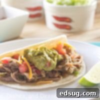 Crispy Pork Carnitas 3 Pork Carnitas ready for serving