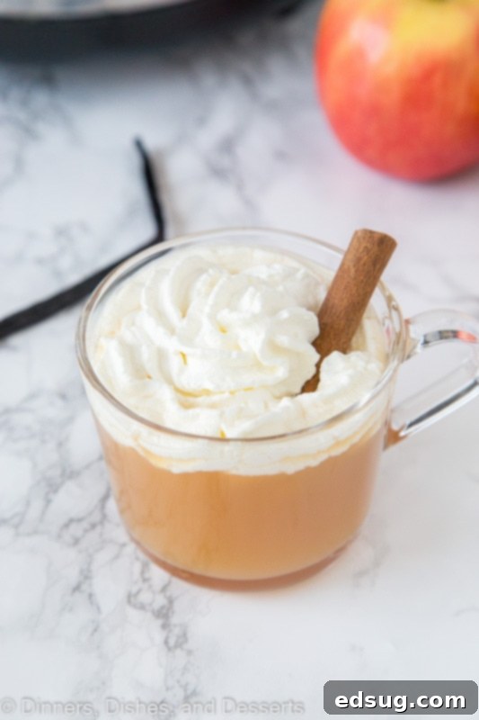 A beautiful setup of ingredients including a cup of cider, a fresh apple, and vanilla beans, ready for making warm vanilla cider