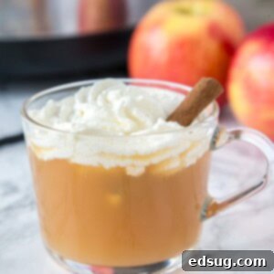 Warm Vanilla Cider - A delightful hot apple cider infused with fresh vanilla bean and topped with homemade whipped cream.