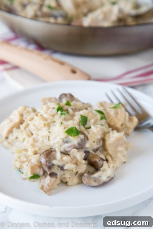 Creamy Chicken and Rice Skillet 2 A plate full of food, with Creamy Chicken and Rice, garnished with fresh parsley.