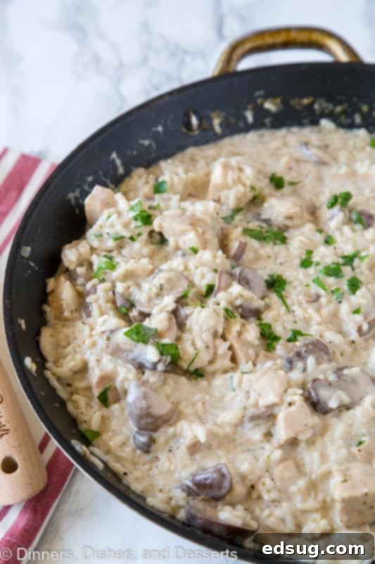 Creamy Chicken and Rice Skillet 3 Creamy chicken and rice simmering in a large skillet on the stovetop.