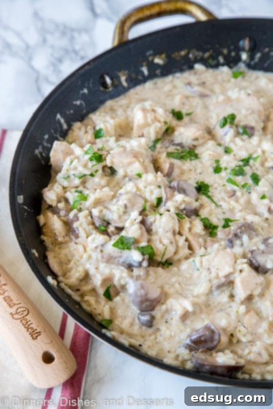 Creamy Chicken and Rice Skillet 4 Close-up of a skillet filled with creamy chicken and rice, ready to be served.
