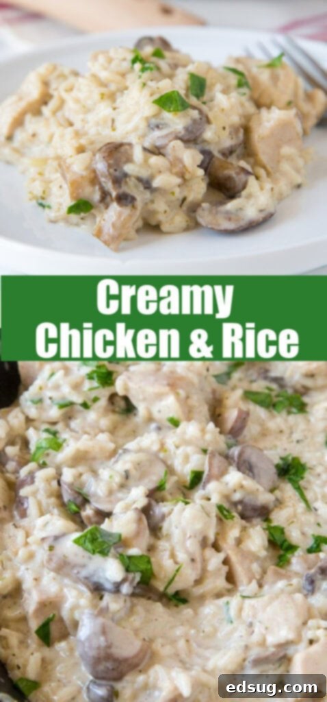 Creamy Chicken and Rice Skillet 5 Close-up shot of a serving of creamy chicken and rice on a white plate, perfect for Pinterest.
