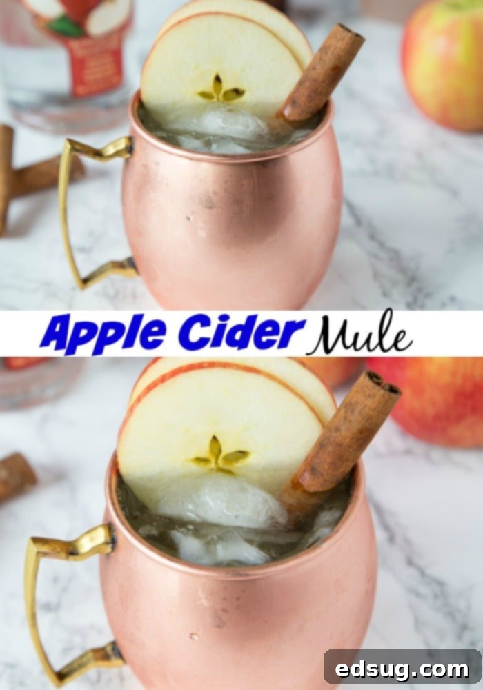 apple cider mule in a glass