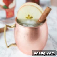 Apple Cider Moscow Mule - a fun fall cocktail with apple cider, apple vodka and ginger beer! Turn a Moscow Mule into a delicious fall treat!