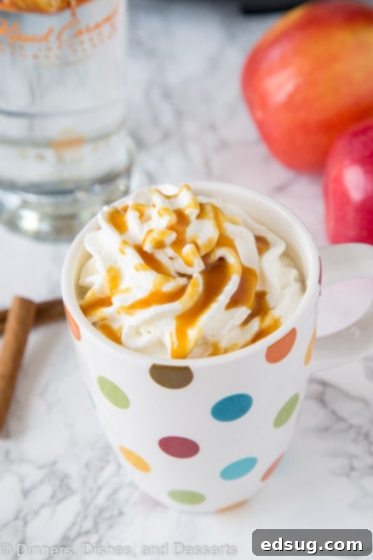 Boozy Warm Apple Cider 4 A close-up shot of a mug of spiked hot apple cider, garnished with whipped cream and a cinnamon stick, steam rising.