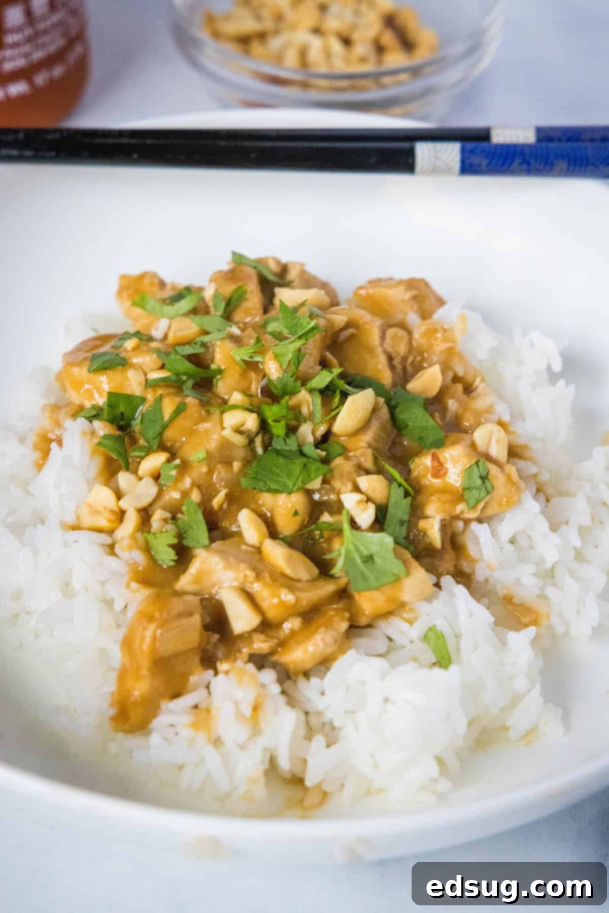 looking down on chicken satay over rice