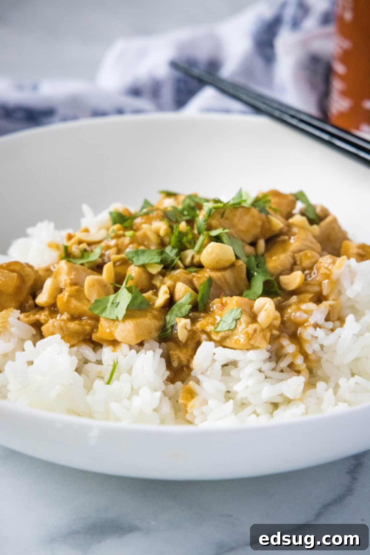 chicken satay stir fry over rice topped with cilantro and peanuts