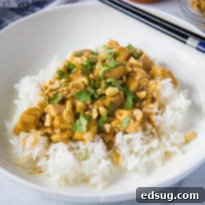 close up chicken satay stir fry over rice