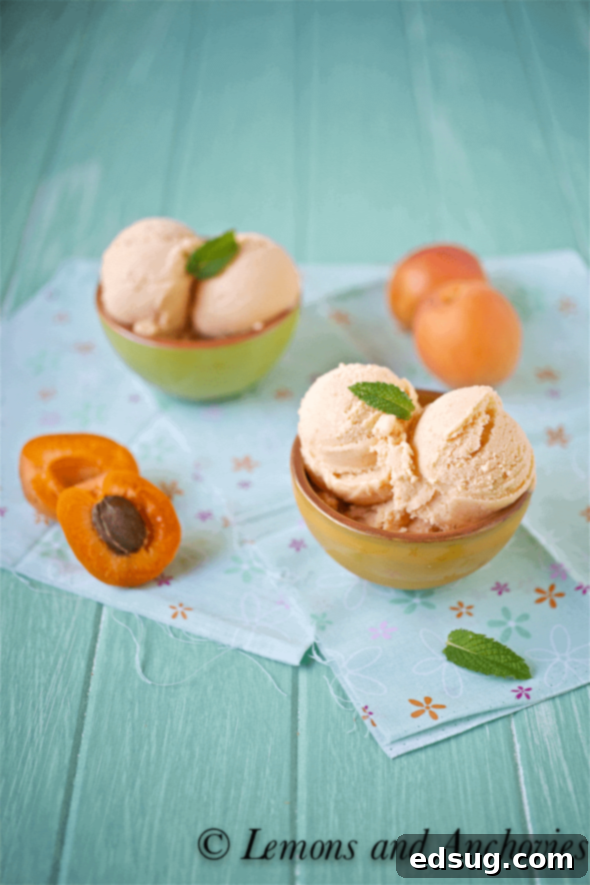 Apricot Frozen Yogurt Apricot Frozen Yogurt in a bowl, garnished with fresh apricot slices.