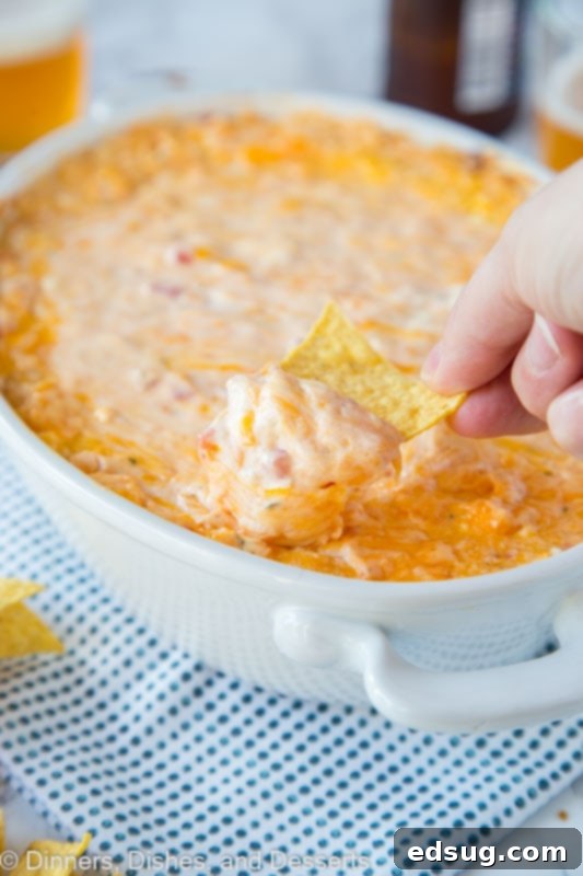 Cheesy Mexican Fiesta Dip 4 A tortilla chip generously loaded with baked cheese dip, held above the dish