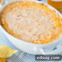 baked cheese dip in a dish