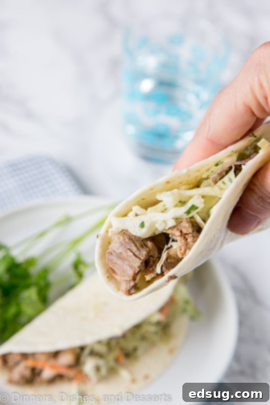 Instant Pot Pork Taco Perfection 5 A hand holding a fully assembled pork taco, showcasing the layers of meat, slaw, and avocado cream.