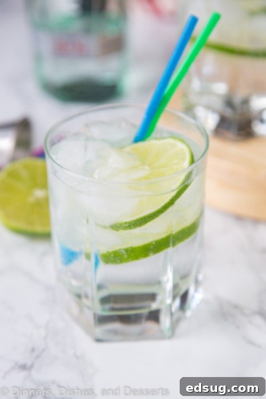 Classic Gin and Tonic 2 Gin and tonic in a glass