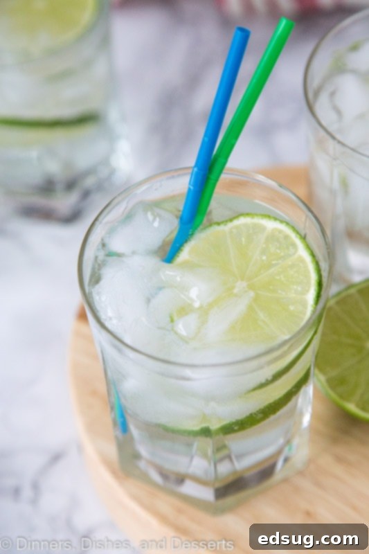 Classic Gin and Tonic 4 Gin and Gin and tonic