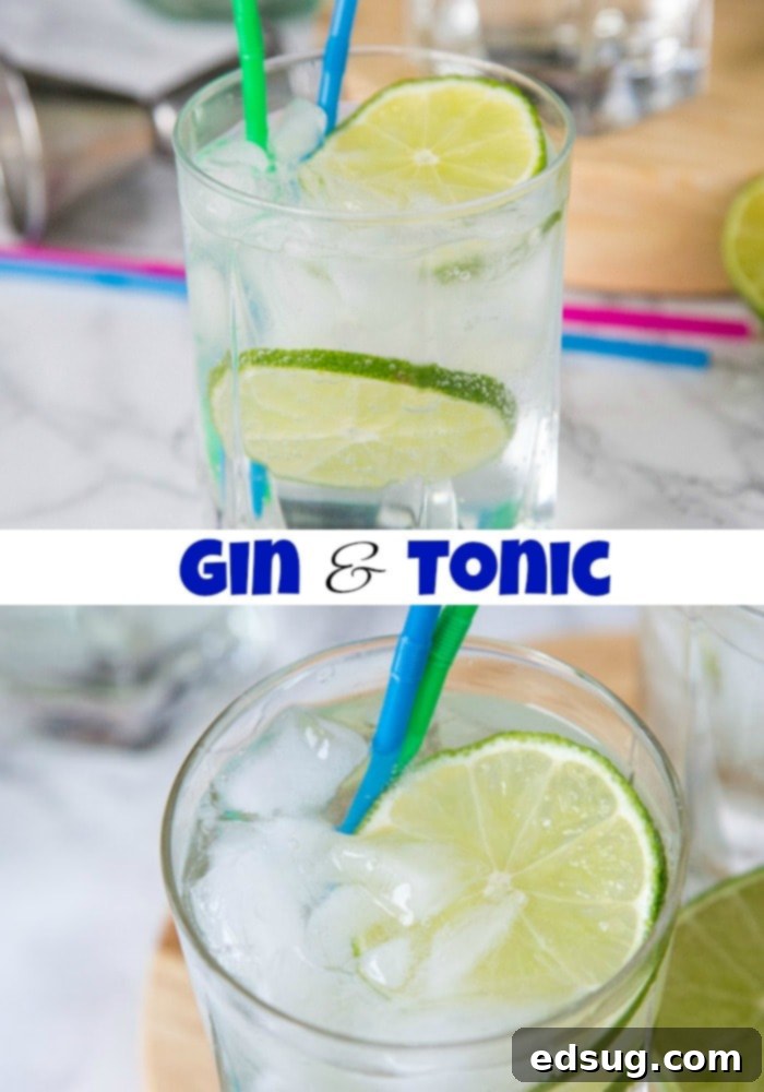 Classic Gin and Tonic 5 A close up of a drink