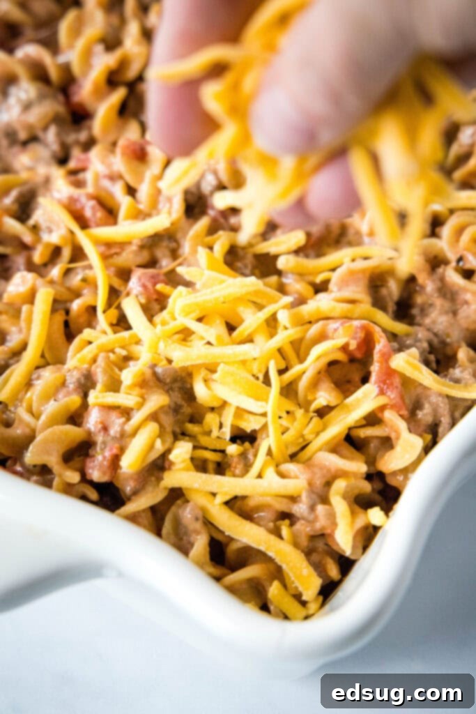 Easy beef noodle casserole is packed with juicy meat, a hearty and creamy sauce, tender egg noodles, and melted cheddar cheese. A hand placing shredded cheese in a casserole dish