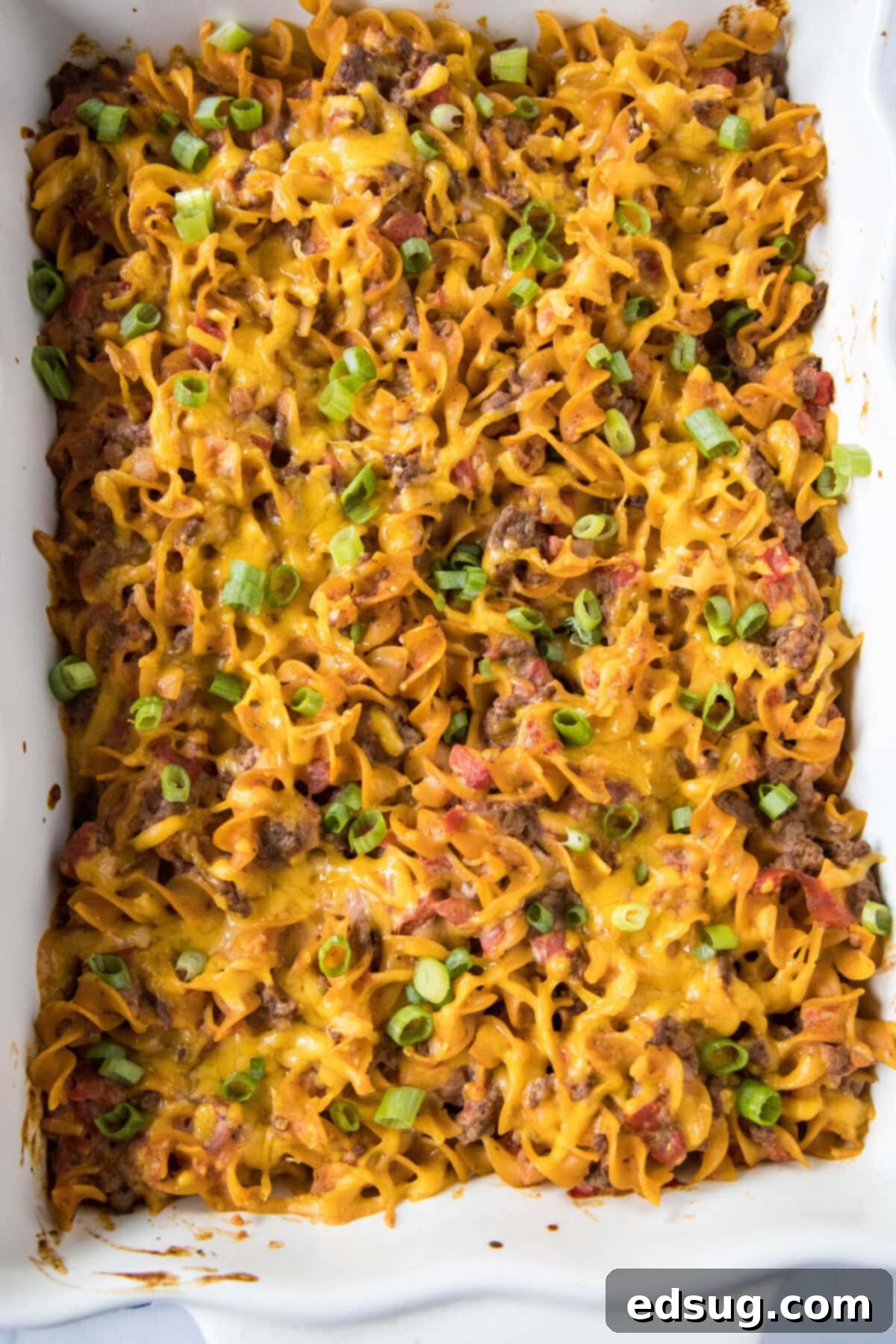 Easy beef noodle casserole is packed with juicy meat, a hearty and creamy sauce, tender egg noodles, and melted cheddar cheese. Overhead view of a casserole dish full of beef noodle casserole