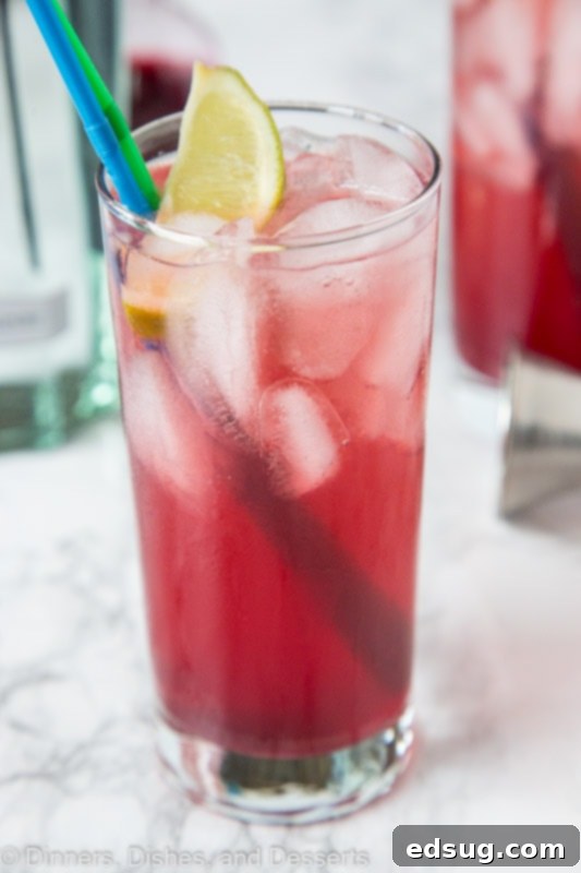 Sparkling Pomegranate Gin and Tonic 2 A close up of a Pomegranate Gin and Tonic cocktail garnished with lime