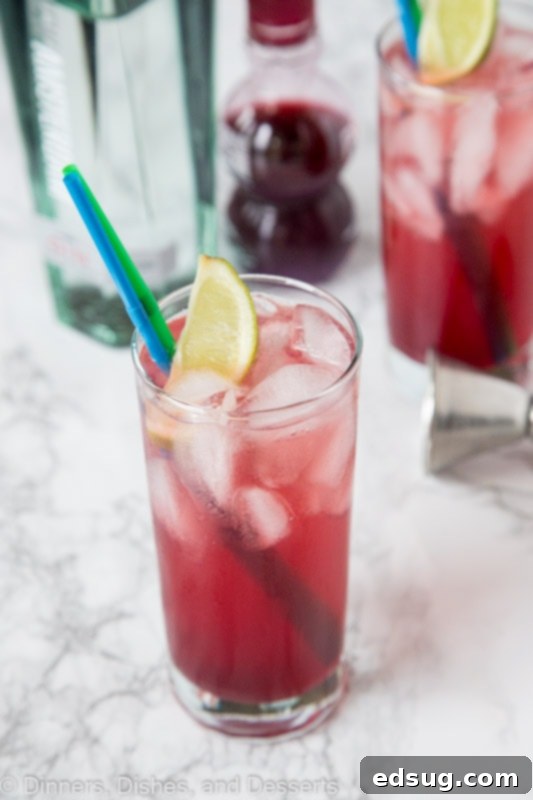 Sparkling Pomegranate Gin and Tonic 3 A close up of a Pomegranate Gin and Tonic cocktail being poured