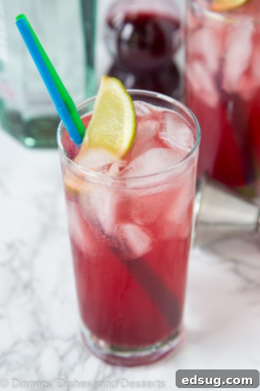 Sparkling Pomegranate Gin and Tonic 4 A close up of a Pomegranate Gin and Tonic cocktail with a lime wedge