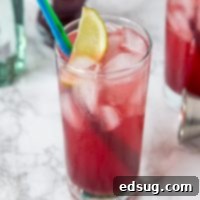 Sparkling Pomegranate Gin and Tonic 7 Pomegranate Gin and Tonic cocktail garnished with lime and pomegranate arils