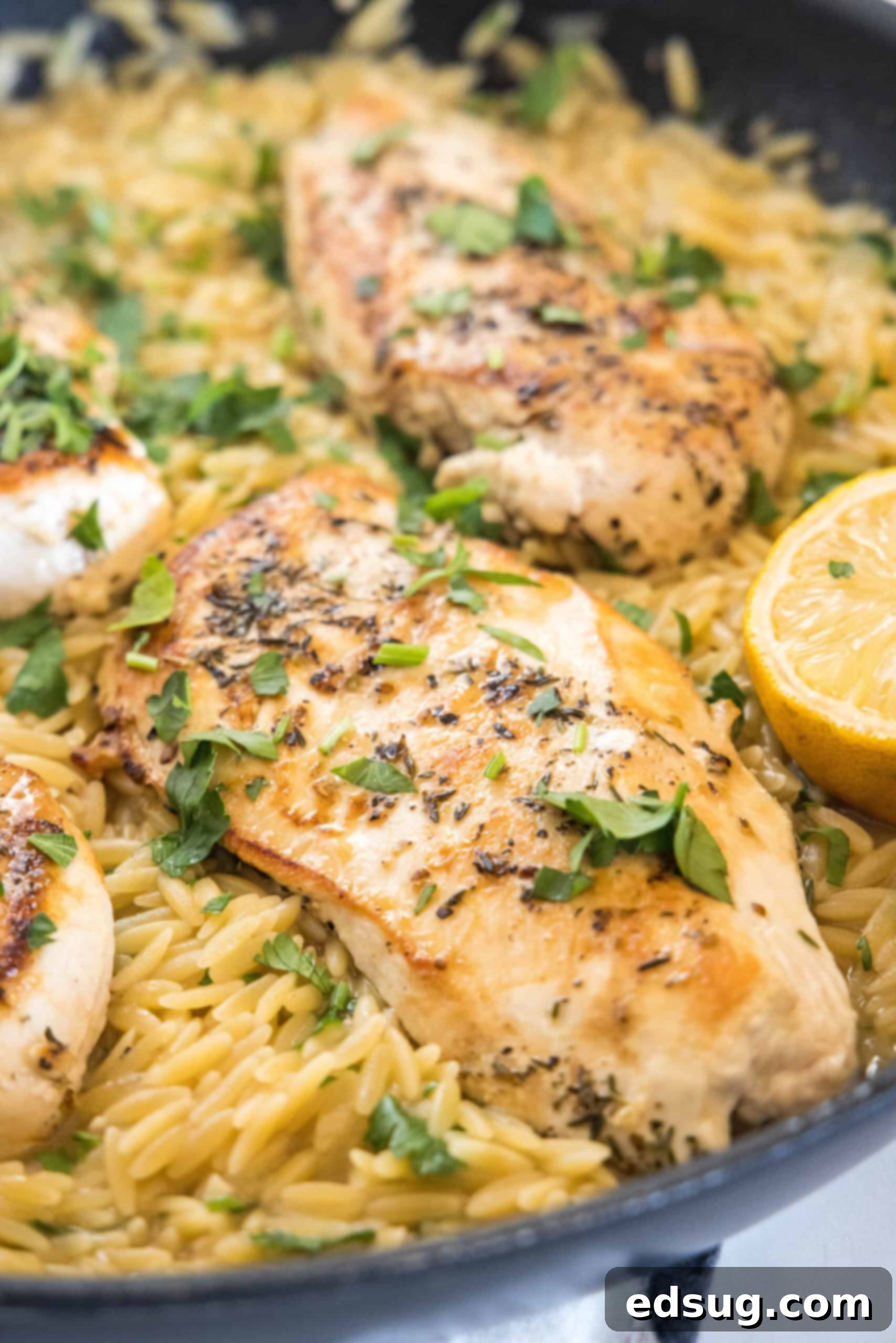A perfectly cooked one pan lemon herb chicken with orzo, showcasing its vibrant flavors and tender texture. Close up of one pan lemon herb chicken and orzo in a skillet garnished with fresh parsley and a lemon slice.