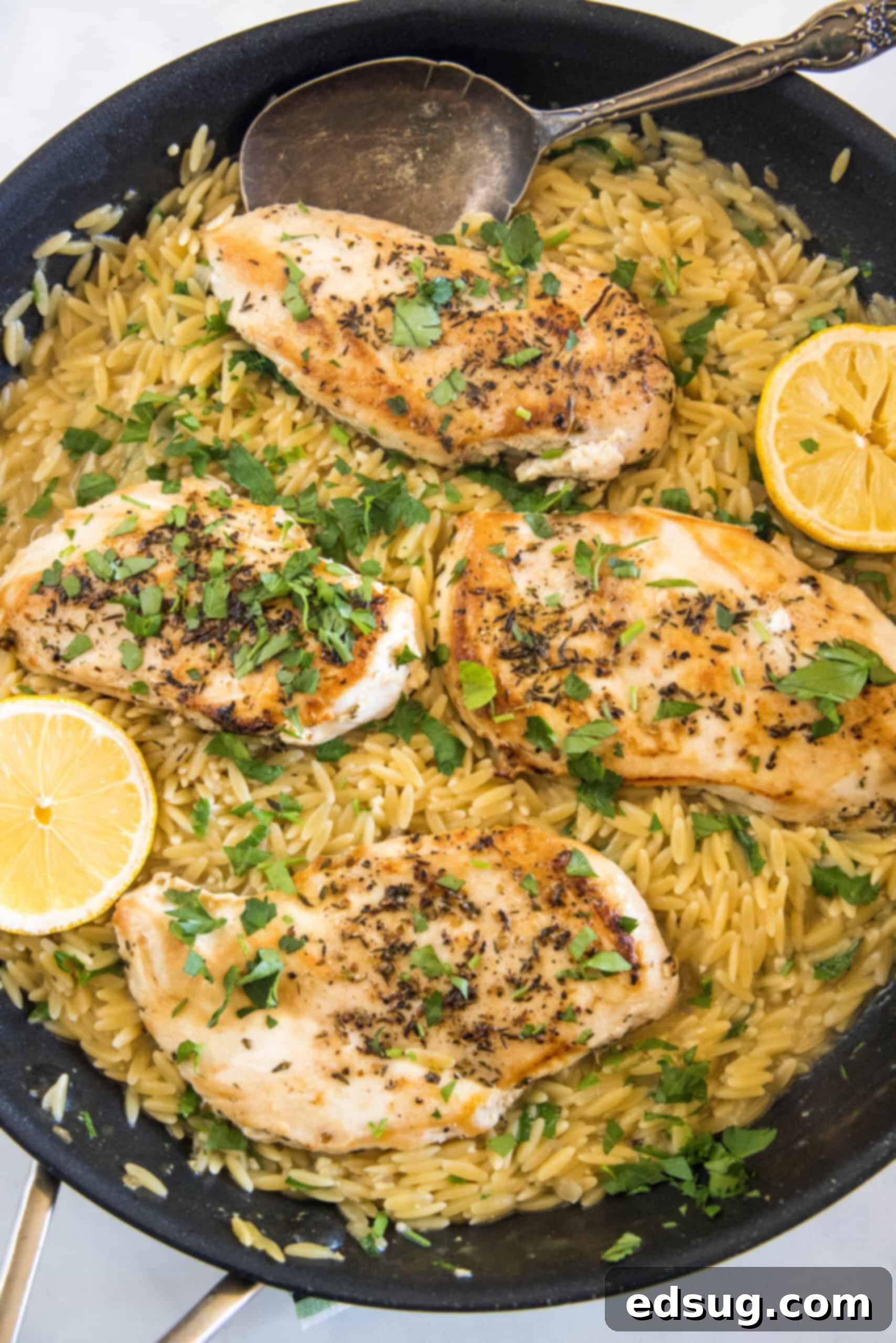 A family-friendly one pan lemon herb chicken and orzo dinner, bursting with fresh flavors and ready fast. Overhead view of a beautiful one pan lemon herb chicken dinner with orzo in a skillet, garnished with fresh herbs and lemon slices.
