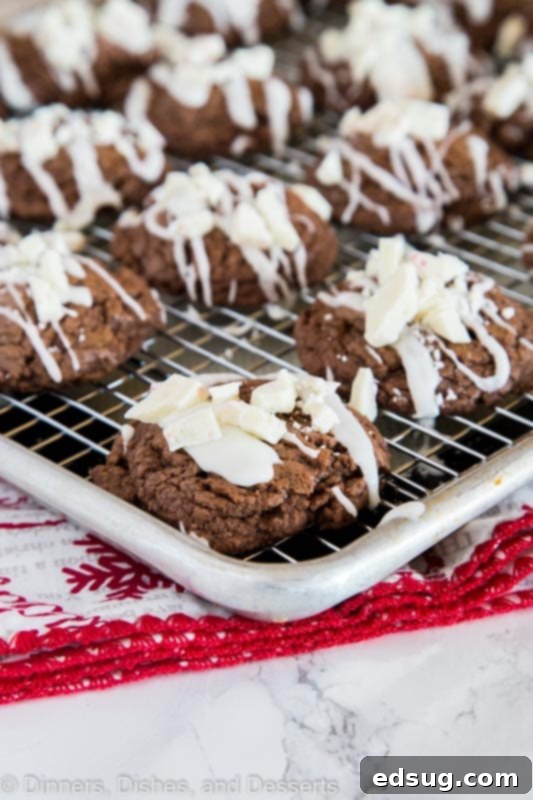 Decadent Chocolate Peppermint Cookies 2 chocolate cookies with white chocolate drizzle on a cooling rack.