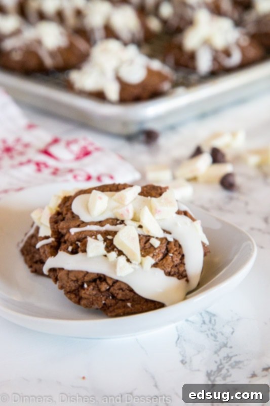 Decadent Chocolate Peppermint Cookies 4 peppermint chocolate cookies on a plate