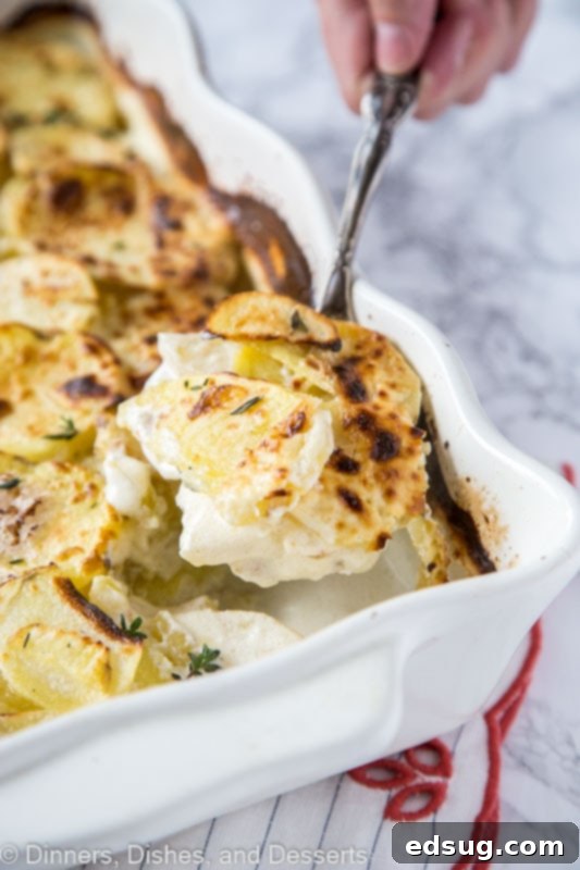 A serving spoon lifting a portion of creamy scalloped potatoes from a casserole dish, showcasing perfectly cooked potato layers and a rich sauce, garnished with fresh herbs.