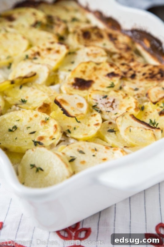 A golden-brown casserole dish filled with perfectly baked scalloped potatoes, garnished with fresh thyme, ready to be served at a family gathering.
