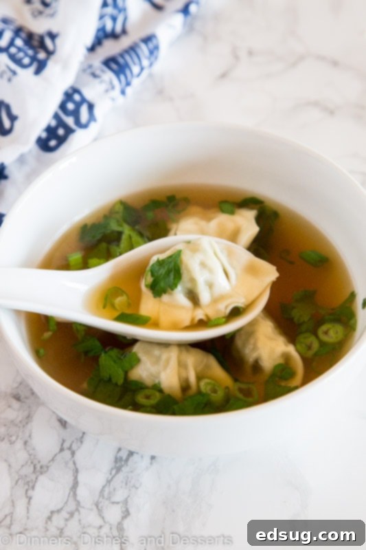 Homemade Wonton Soup 2 A bowl of soup, with Wonton and Dumpling