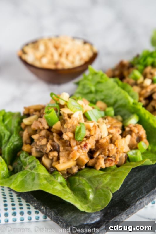 Savory Chicken Lettuce Cups 2 A plate of food, with Lettuce and Chicken filling