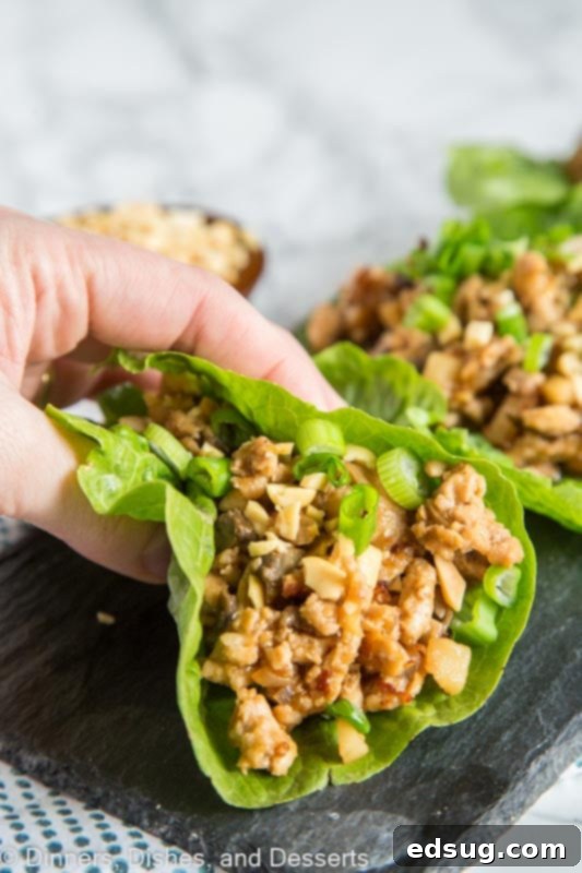 Savory Chicken Lettuce Cups 3 A plate of food with chicken lettuce wraps