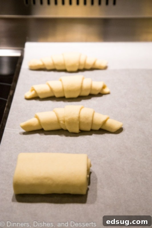 Buttery Homemade Croissants 5 Croissant before baking on a baking sheet