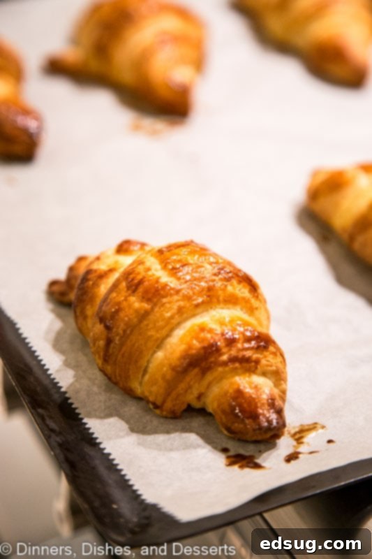 Buttery Homemade Croissants 6 A piece of bread on a plate, with Croissant and Dough