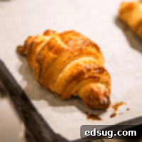 Buttery Homemade Croissants 8 Homemade Croissants - buttery, flakey, and delicious croissants you can make at home!