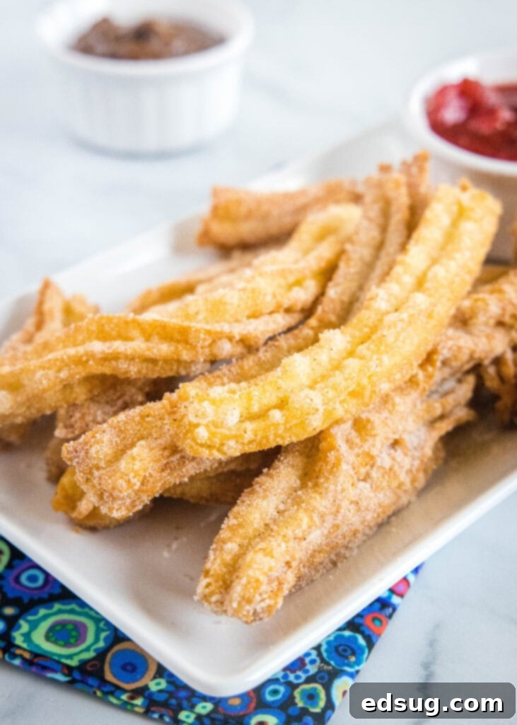 Sweet Homemade Churro Delights 2 churros on a plate, golden brown and coated in cinnamon sugar