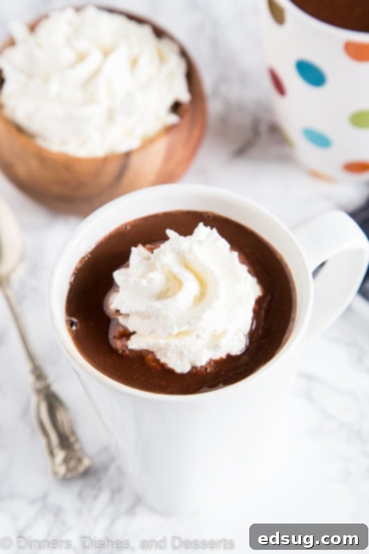 Decadent French Hot Chocolate 2 A cup of hot chocolate, with Chocolate and Hot chocolate