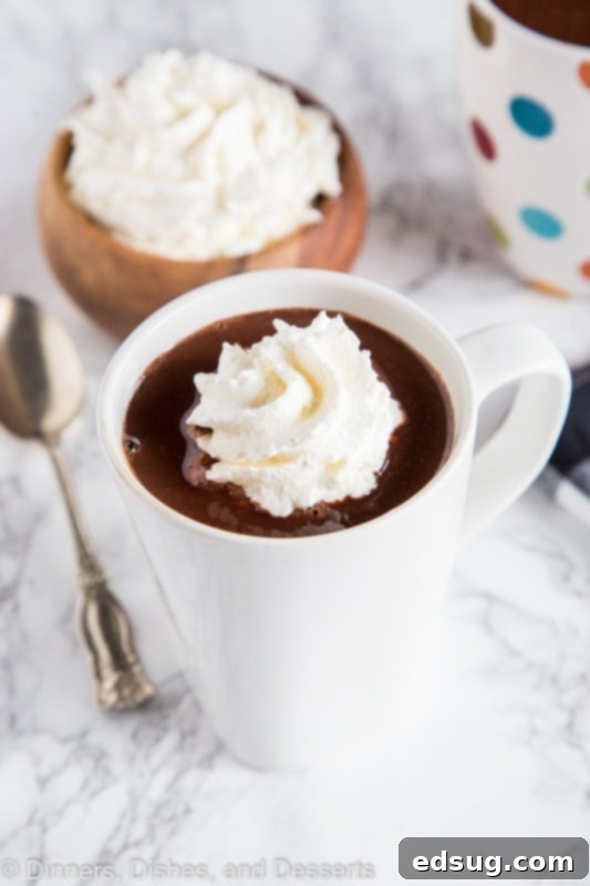 Decadent French Hot Chocolate 5 A cup of hot chocolate with whipped cream