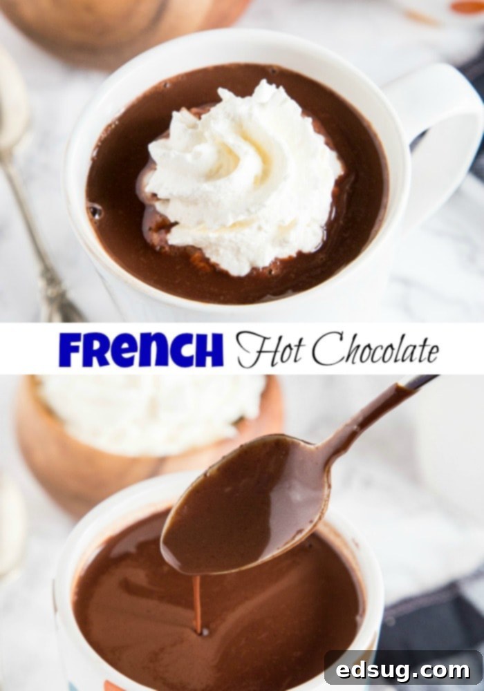 Decadent French Hot Chocolate 6 close up of hot chocolate in a cup with whipped cream