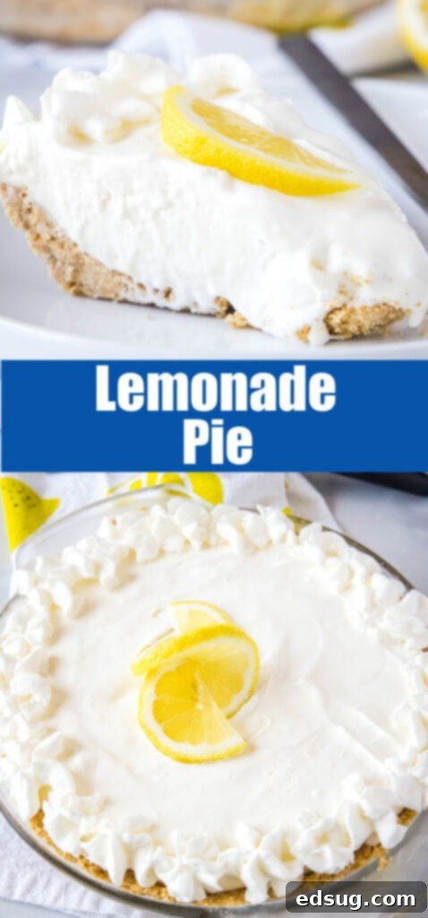 close up view of creamy lemonade pie in pie plate