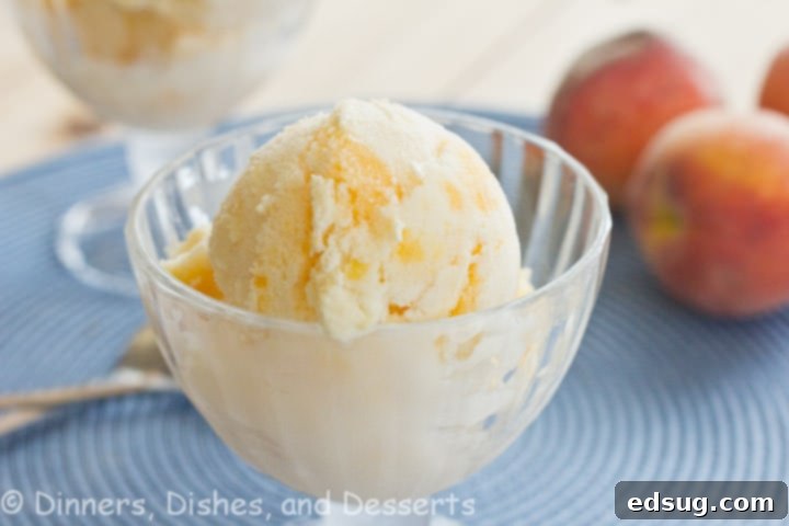 Top-down view of the vanilla peach swirl frozen yogurt, highlighting the beautiful swirl pattern