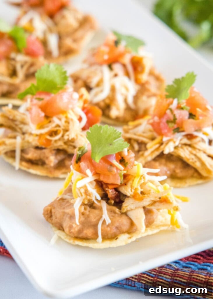 A vibrant platter of mini bean and chicken tostadas, beautifully arranged and ready to be served as a delicious Mexican appetizer.
