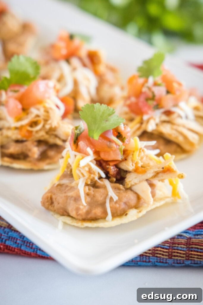 Close-up of perfectly layered mini chicken and refried bean tostadas on a platter, highlighting the fresh and savory toppings.